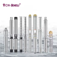 Pompe submersible pour puits profond SD de 2 pouces, pompe à eau pour puits tubulaires, pour l'alimentation en eau provenant de puits ou de réservoirs