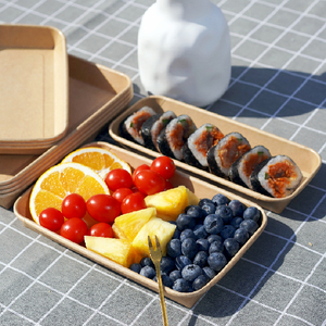 Tùy Chỉnh In Dùng Một Lần Takeaway Bao Bì Thực Phẩm Hộp Giấy Vuông Tấm & Bát Sushi Khay - Product Image 5