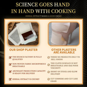 منتجات رائجة جص مسكن صيني لداء الفقار العنقي مع آلام أسفل الظهر والساق تلف العضلات القطنية التعب - Product Image 5