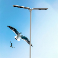 Lampadaire solaire LED haute efficacité IP65, corps en acier inoxydable, alimentation CA, certifié CQC, garantie 3 ans, angle de faisceau 104°