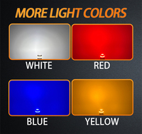 Ampoule LED T10 W5W 194 168 Canbus sans erreur 6500K Blanc pour éclairage intérieur de voiture, plafonnier, porte, coffre, plaque d'immatriculation - Vente en gros