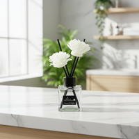 Diffuseur d'huiles essentielles artisanal en verre, sans alcool, sans plomb, écologique, pour chambre et toilettes, ensemble de 50 ml, luxe