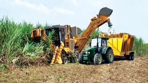 Maquinaria Agrícola, Cosechadora de Caña de Azúcar S935TA 350HP, Transmisión por Engranajes, Caja de Cambios para Hojas de Té y Maíz, Alta Productividad - Product Image 6