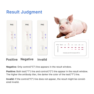 Rapid Test Kit for Classical Swine Fever Virus <strong>Antibody</strong> <strong>Detection</strong> Veterinary Instrument for Pig CSFV Ab - Product Image 4