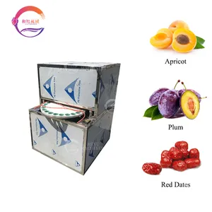 Commercial Fruit Processing Pitting Machine Automatic Apricot Plum Pitting Core Removing Machine