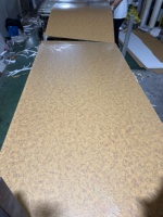 Plaque de placage en bois de bambou au charbon de bois / Panneau et planche en fibre de cristal de carbone pour murs intérieurs, personnalisables en taille et texture