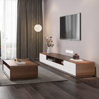 Meuble TV et table basse de style minimaliste moderne pour salon, avec rangement pratique et design unique