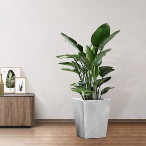 <span class=keywords><strong>Maceta</strong></span> Moderna Minimalista Nórdica Creativa <span class=keywords><strong>Cuadrada</strong></span> Trapezoidal Resistente a la Corrosión Pintada con Spray para Plantas Suculentas - Product Image 4