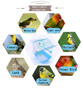 Nouveau type de transporteur et de maison et application d'oiseaux perroquets cage à oiseaux décorative vintage pour l'élevage - Product Image 6