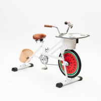 Bicicleta Generadora de Energía a Pedal Híbrida EXI 2026, Capacidad de Carga de 90 kg, Fácil de Usar, Bicicleta Monociclo para Niños con Carga para Teléfono