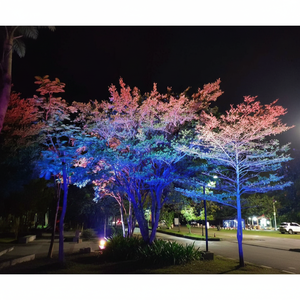 Lampes LED décoratives pour arbres, idéales pour les fêtes, l'aménagement paysager des parcs et les décorations de jardin extérieur, avec indice de protection IP65 - Product Image 1