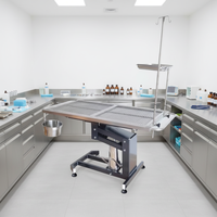 Stable Base Veterinary Surgery Table for Dogs Cats and Other Small Animals Electric 304 Stainless Steel for Pet Surgery