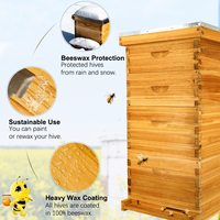 Ruche Langstroth 10 cadres 4 niveaux, enduite de cire d'abeille 100%, incluant 2 boîtes profondes et 2 boîtes moyennes