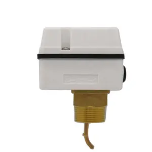 Hot Sale Brass Water Flow Control Switch with Cheap Price