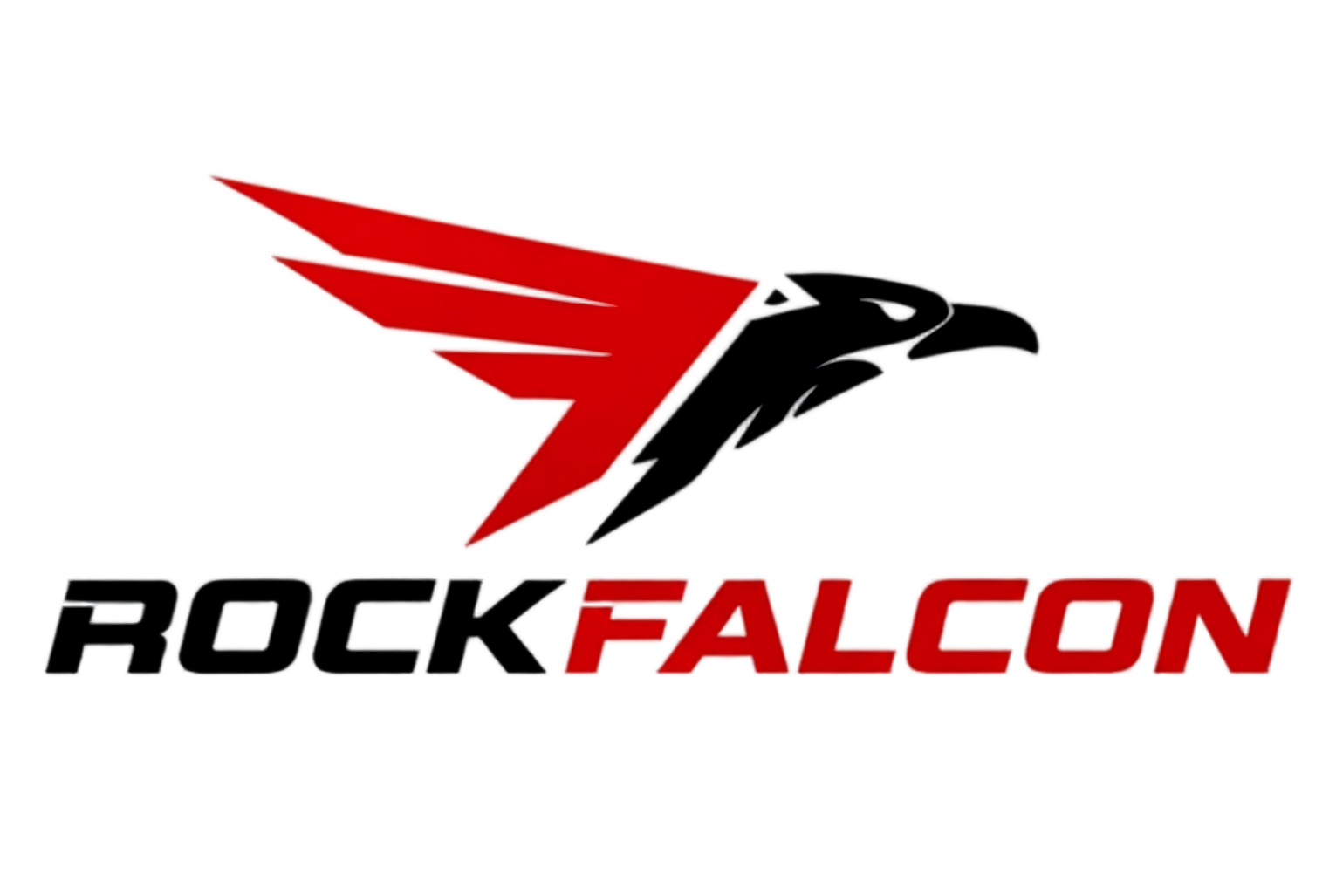 Rockfalcon  (Chongqing) Technology Co., Ltd. logo