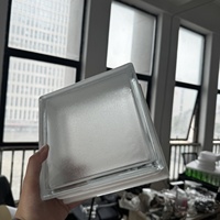 Meilleure Vente : Brique de Verre Creuse Décorative Carrée à Finition Mate Transparente pour Cloison Intérieure Domestique