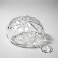 Balle creuse en TPR Squeeze-it en forme de peau de pain vapeur, style Xiaohongshu, transparente, souple, type ballon à eau, jouet anti-stress DIY, marque SW