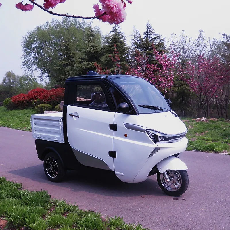 Çin kargo scooter elektrikli üç tekerlekli bisiklet ile EEC & COC