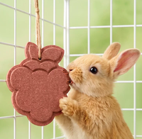 Nourriture pour lapins, friandises pour lapins, pour cochons d'Inde et chinchillas, soulage l'ennui, collations nutritives, personnalisables