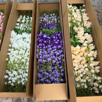 Fleur artificielle en soie unique, jacinthe, violet, spurier, delphinium, pour arrangement floral, décoration de la maison, hôtel, mariage