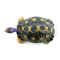 Modèle de tortue sauvage en PVC massif, simulation transfrontalière, ornements à assembler, souvenir d'aquarium