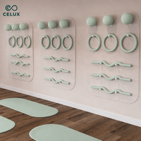 Ensemble d'accessoires de yoga et de pilates Cellux Custom Sage Green pour la maison et le studio