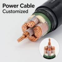 Cable de Alimentación Popular con Conductor de Cobre, Material de Aislamiento de PVC con Propiedades Ignífugas, Clasificación IP67 para Uso en Construcción