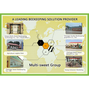 Telaio intelligente alveare telaio a nido d'ape - Product Image 6