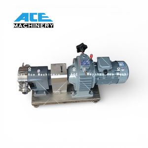 Bomba de Engranajes de Rotor Lobular de Acero Inoxidable Móvil al Mejor Precio, Motor a Prueba de Explosiones de 0.5 HP, Certificación 3A - Product Image 2