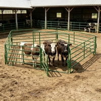 Clôture pour bétail en acier à faible teneur en carbone, galvanisée à chaud, pour élevage de bovins et de moutons