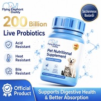 Comprimés Probiotiques pour Chiens et Chats – Soin Gastrique pour Animaux de Compagnie – Équilibre Naturel de la Flore Intestinale – Stimule l'Appétit – Soulage la Digestion – Apaise les Douleurs Intestinales