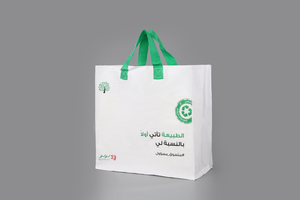 Gran oferta, bolso de mano plegable de polipropileno no tejido reutilizable personalizado para compras, barato y pesado - Product Image 4