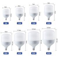 Ampoules LED en Gros 5W 10W 15W 20W 30W 40W 50W 60W, Plafonnier, Culots E27 B22, Lampes et Ampoules LED