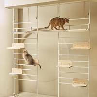 2025 Nouveau design de meubles modernes de luxe pour chats Vente en gros Support en bois de haute qualité avec cadre en métal Perçage mural Offre Spéciale chat