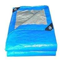 Bâche en PE robuste bleu ciel 4x5m, imperméable, avec œillets en aluminium pour camion, agriculture, protection extérieure