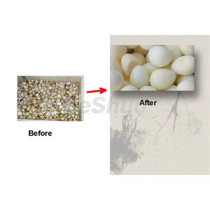 Yüksek verimli elektrikli bıldırcın yumurta soyucu ve Sheller makinesi küçük bıldırcın yumurta sökücü un değirmeni ve ekmek kullanımı için - Product Image 6