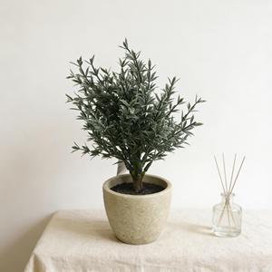 Plantes d'épices artificielles 21CM, <span class=keywords><strong>romarin</strong></span> vert foncé, petit arbre, pot en pulpe vintage, bonsaï, ornement de bureau d'intérieur - Product Image 4