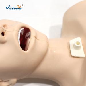 Model Kepala Manekin untuk Pelatihan Hisap, Simulator Manekin untuk Pelatihan Medis - Product Image 3