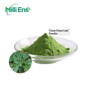 ウスマリーフパウダーオーガニックバルク天然ウスマヘアケアウスマハーバルヘア成長ウスマリーフパウダー - Product Image 5