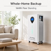 Système d'énergie solaire à batterie au lithium LiFePO4 certifié CE 51,2 V 16 kWh 30 kWh, alimentation de secours domestique