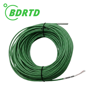 Factory Direct High Precision RTD Pt1000 With Probe Rod Pt 1000 Temperature Sonser Optional Pt1000 Temperature Transmitter - Product Image 4