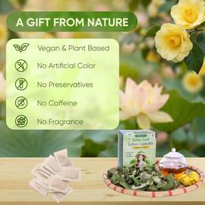 Mezcla de Té Herbal Premium con Hoja de Loto y Camelia Amarilla en Bolsitas - Bebida Saludable Seca 2G Marca NMPT de Vietnam - Product Image 2