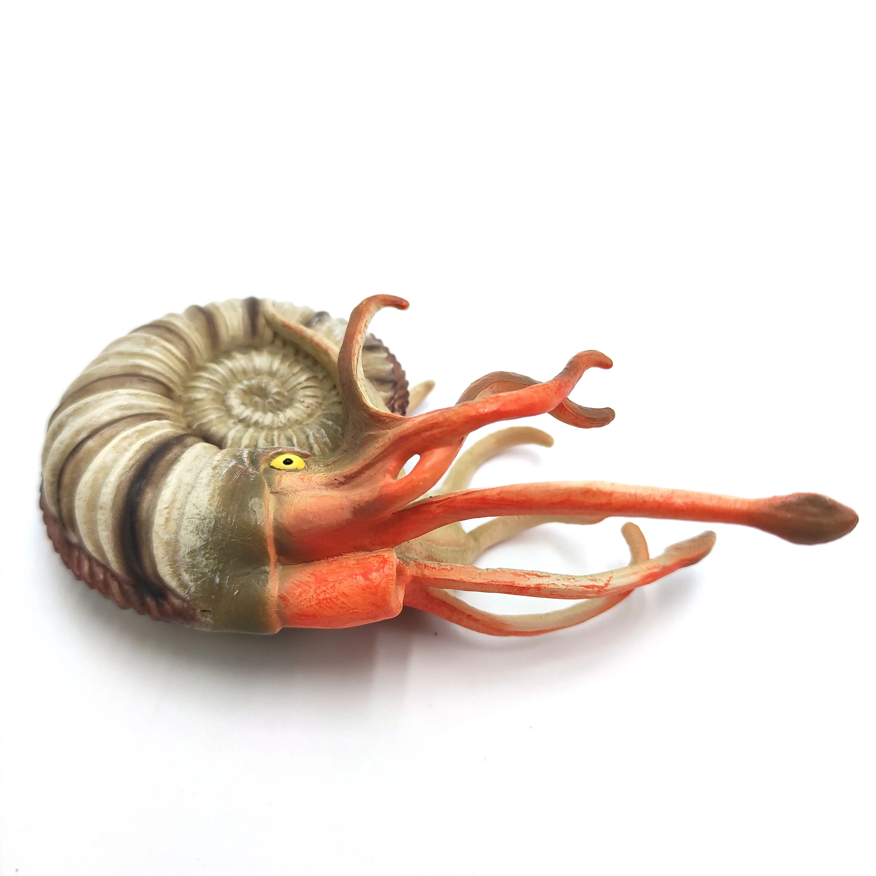 Morefun Solid PVC Simulation Sea Life Model Plastic Animal Toys Marine Figures Ocean Animal Figurines Ammonite