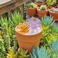 Pot en verre de Murano fait main pour plantes succulentes, idéal pour la Fête des Mères, la Fête des Enseignants, la décoration intérieure et les ornements.