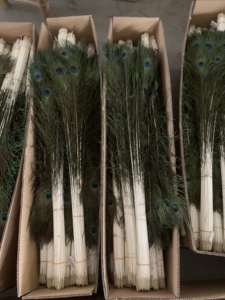 Nhuộm Bất Tự Nhiên Con Công Lông Cho Bán Đảng Lễ Hội Trung Tâm Đám Cưới Nhà Xmas Kỳ Nghỉ Trang Trí Nội Thất DIY Thủ Công Hoa Trang Phục - Product Image 4