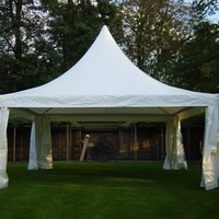 Pavillon Blanc 3x3 4x4 5x5 6x6 Mètres Tente Pagode À Vendre