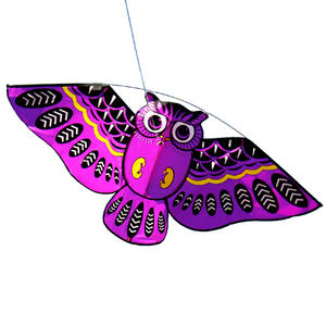 Uil Kite En Uil Vorm Vliegers Met Verschillende Kleuren - Product Image 5