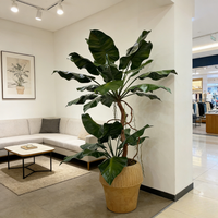 Plantes artificielles Alocasia de haute qualité de 210 cm en pot, design élégant, décoration pour la maison, le bureau, l'hôtel, fausse plante Alocasia dans un pot en ciment
