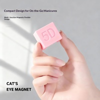 Perles de verre larges de style français pour nail art, outil magnétique puissant en plastique 5D pour effet œil de chat automatique