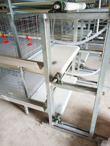 Poulailler automatique pour poules pondeuses, type H, en acier galvanisé, entretien facile, contrôle centralisé, pour l'élevage à grande échelle, Nouveau - Product Image 6